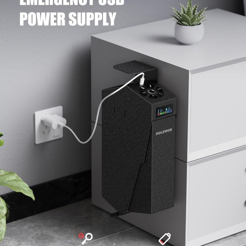 Smart Fingerprint Handgun Safe - đánh giá và giá Home Security Box